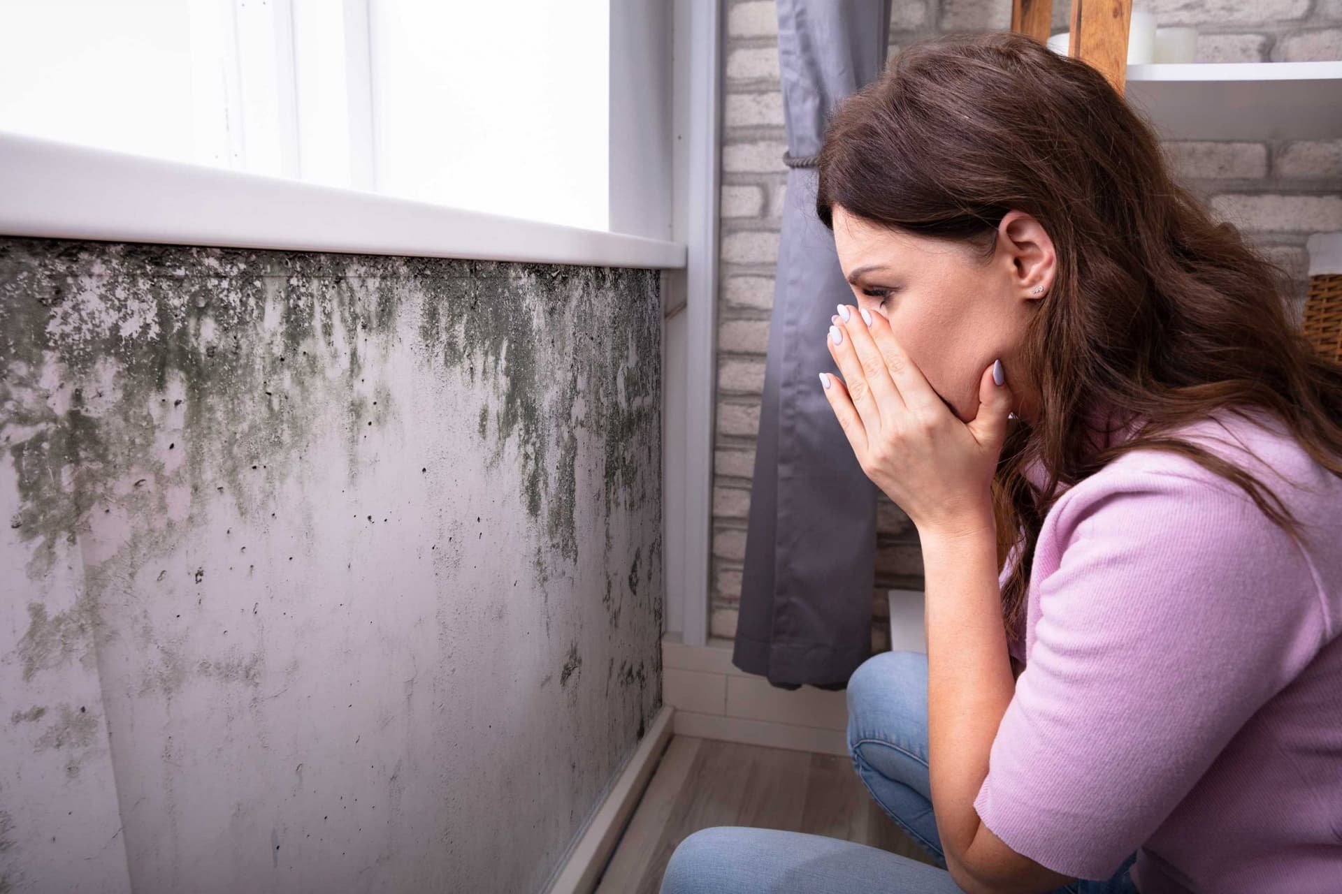 What to Do if You Find Mold in Your Home