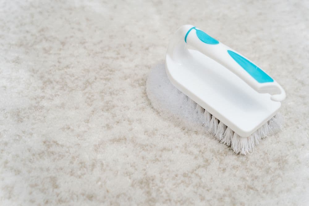 What to Do If You Have Mold On Your Carpet