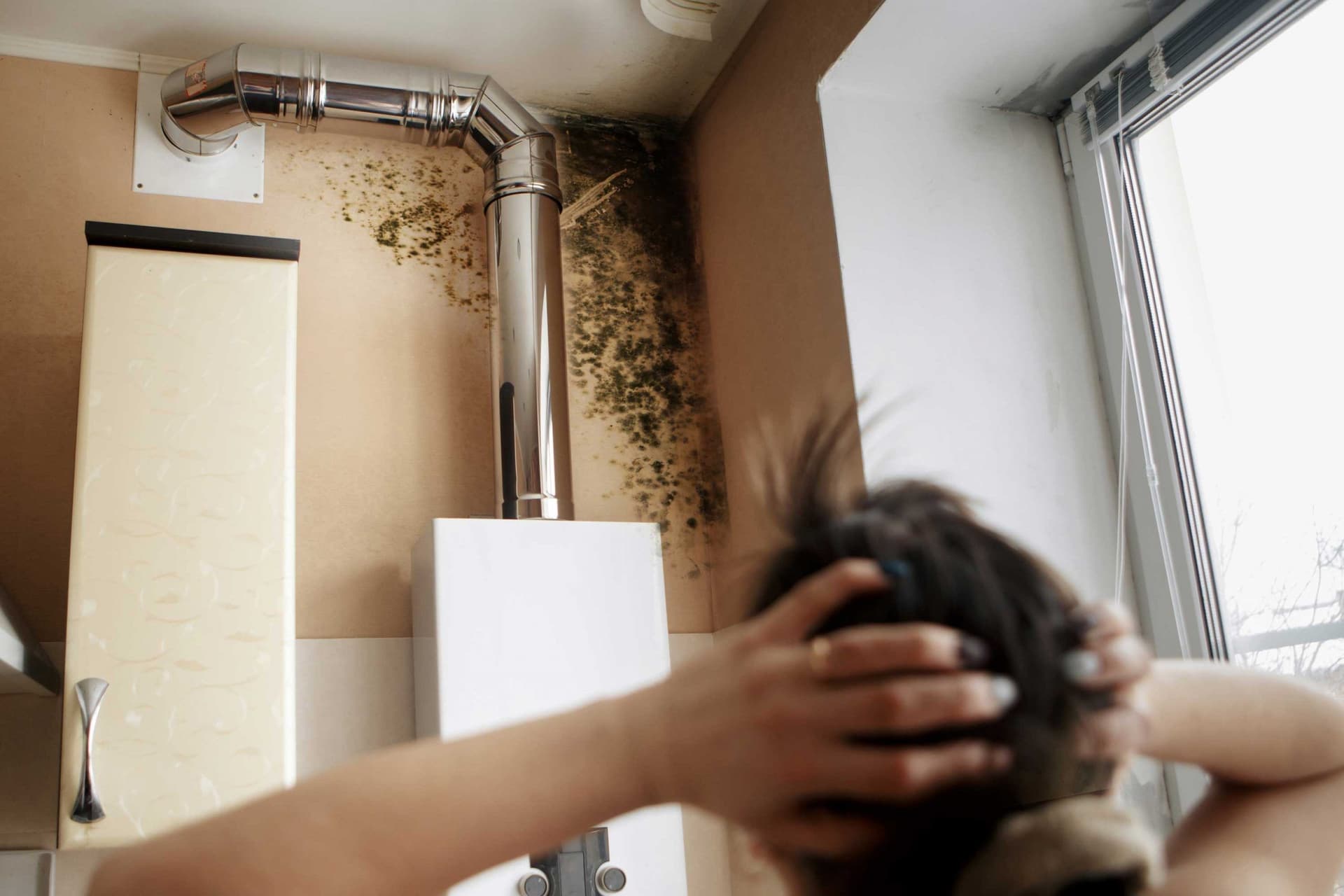 Mold Damage Tips