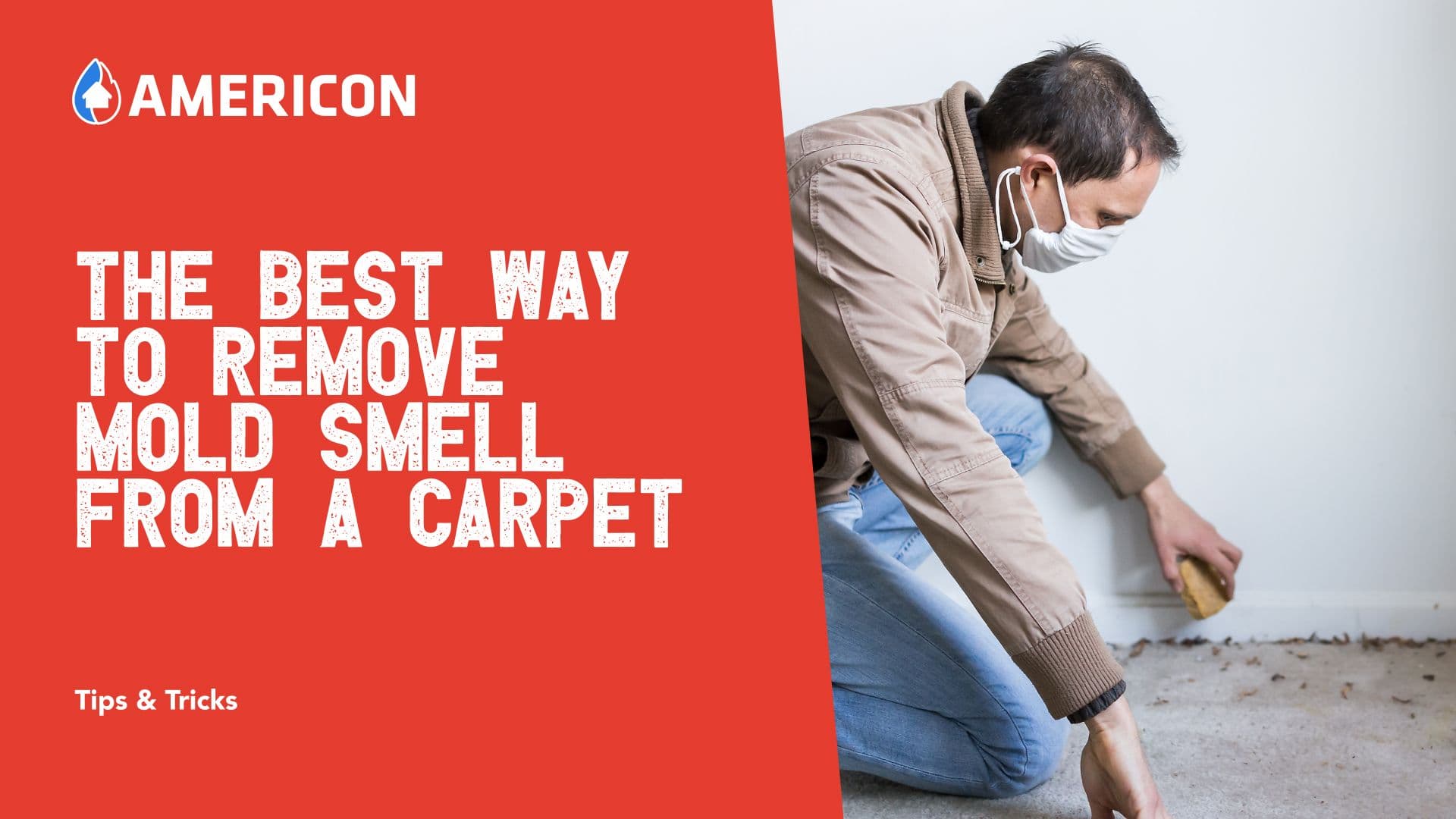 The Best Way To Remove Mold Smell From A Carpet