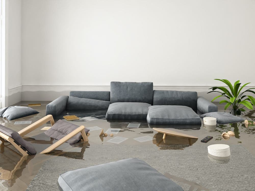 Are There Any Health Risks with Water Damage?