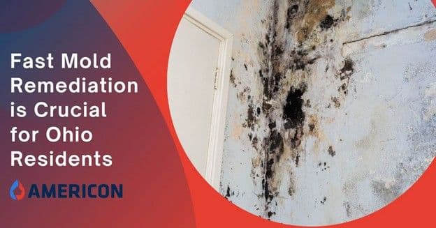 Why Is Timely Mold Remediation Crucial for Ohio Residents?
