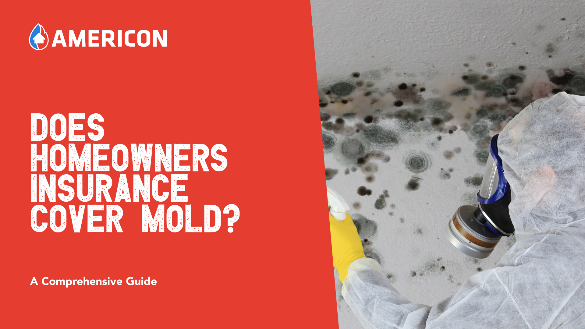 Does homeowners insurance cover mold?